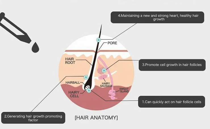 scalp health serum scalp health serum